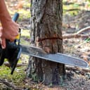 Close-up of a chainsaw cutting through the bark of a young pine tree during logging