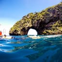 Poor Knights Islands Marine Reserve