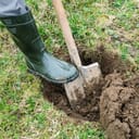 Man digs a hole to plant a tree.