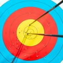 two arrows in the center of an archery target