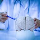 A closeup of a doctor holding a brain model and pointing to it with a pen