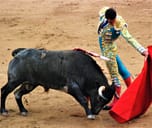 A matador with the bull in the final sequence of the bullfight