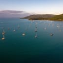 aerial view of a lot of sailboats anchored in a picturesque bay at sunset in Airlie Beach, Australia