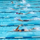 Swimmers swimming freestyle in an olympic pool