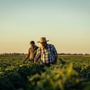 Two farmers in a field examining soy crop at sunset.
