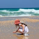 A little girl collecting sea shells from a beach