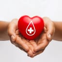 hands holding a red heart with a donor sign, representing healthcare and blood donation