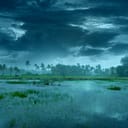 A rainy weather over a swampy area