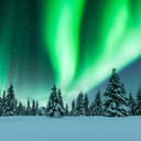 Aurora borealis lighting up the night sky above a pine forest covered in snow