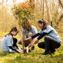 Two adult volunteers and a girl planting a tree and filling the hole with soil.