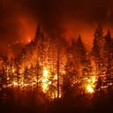 A wildfire in Colorado at night.