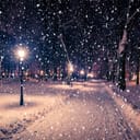 Winter night park with lanterns, pavement and trees covered with snow in heavy snowfall.