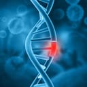 Artistic depiction of DNA