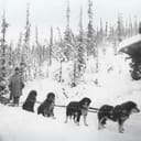 Jean (or Gene) Allen pictured with his dog sleigh established a mail service in 1898 that delivered mail and the weekly Klondike Nugget to creeks near Dawson City