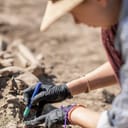 An archaeologist wiping dust from an archaeological find