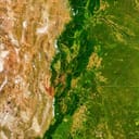Deforestation in Argentina's Gran Chaco, with image elements provided by NASA.