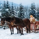 two children riding on a vintage horse-drawn sleigh through a snowy mountain