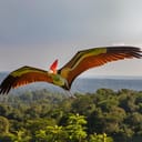AI generated image of a Quetzalcoatlus (a pterosaur from the Late Cretaceous period in North America), showed flying above the forest