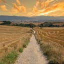 sunrise on the Camino de Santiago in Navarra, Spain