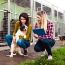 A young woman working at a dog shelter helping another pick a dog