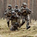 Group of soldiers in camouflage gear advancing towards the enemy in a dense forest.