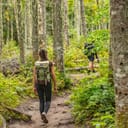 Hike trail hiker woman walking in autumn fall nature woods during fall season. Hiking active people tourists wearing backpacks outdoors trekking in pine forest.