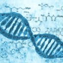 A visual representation of a DNA
