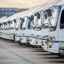 Fleet of parked trucks