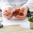 Doctor holding a miniature model of the human liver