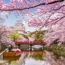 Himeji Castle in spring season, Himeji, Japan