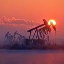 Numerous pumping jacks in the field at sunset
