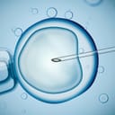 Artistic depiction of IVF