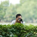 A man taking a photo with his camera behind a hedge