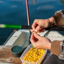 Corn being prepared as bait by a fisherman