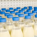 many plastic bottles with milk inside with bright blue covers against metal background in the shop, bottles with milk as dairy product for preparing breakfast wait for byers on market shelf