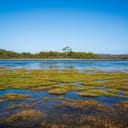 A wide-angle shot capturing the broad expanse of Australian wetlands during a sunny day.