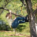 boy hanging on a tree branch