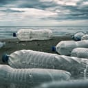 Plastic bottles scattered on a beach
