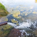 water flowing from a pipe into a lake causing environmental pollution