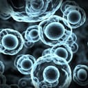 Abstract illustration of cells in mitosis or multiplication of cells in blue