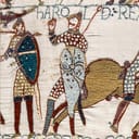 A tapestry showing King Harold being hit with an arrow