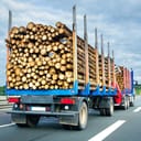 a truck transporting timber on road