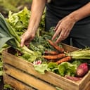 A closeup of person's hands placing vegetables into a wooden crate