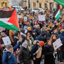 a crowd gathered at a peace rally to protest for Palestine
