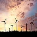 Wind turbines in the field at sunset
