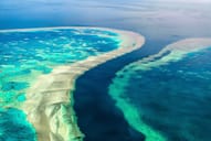 Detail of The Great Barrier Reef