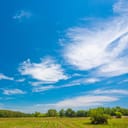 Field on a sunny day with some thin clouds in the sky