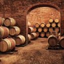 A cellar full of wooden barrels for storing alcohol