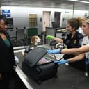 customs officials checking female passenger's bag after a dog had sniffed out a possible banned item in baggage claim