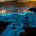Bioluminescence in the ocean at night, Jervis Bay, Australia